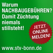 STV-Banner